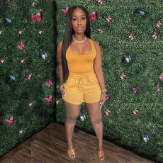 Vest Shorts Casual Two Piece Set GWDS-210411