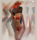 Sexy Bikini Three Piece Swimsuit GWDS-210301