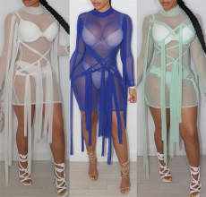 Sexy Mesh See Through Mini Dress GWDS-210313