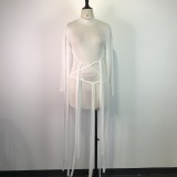 Sexy Mesh See Through Mini Dress GWDS-210313