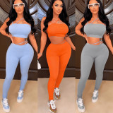 Solid Two Piece Pants Set GWDS-220459
