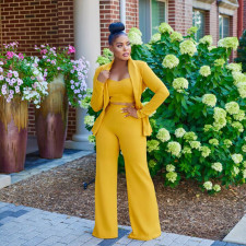Solid Blazer Coat+Cami Top+Pants 3 Piece Sets BGN-266