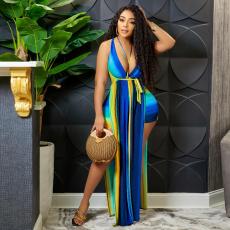 Sexy Printed Halter Romper GOSD-1286