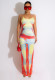 Sexy Printed Backless Spaghetti Strap Maxi Dress FENF-FE240