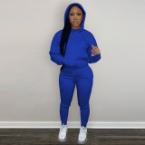 Solid Plush Hoodie Top And Pants 2 Piece Suits CH-8197