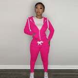 Solid Plush Hooded Zipper Coat And Pants 2 Piece Sets CH-8198