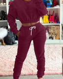 Casual Sports Solid Sweatshirt Two Piece Pant Set WAF-788306