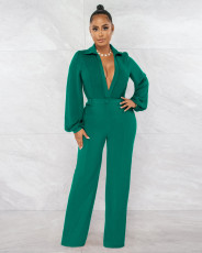 Sexy Solid Deep V Neck Tight Jumpsuit AIL-224