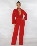 Sexy Solid Deep V Neck Tight Jumpsuit AIL-224