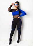 Mesh Splice Bodysuits And Pants Two Piece Set LA-3168