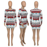 Fashion Print Long Sleeve Mini Dress GLF-10113