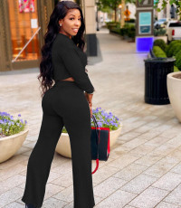 Casual Long Sleeve Tie-Up Wide Leg Pant Two Piece Set JPF-1079