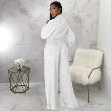 Casual Solid Tie-Up Tops And Loose Pant 2 Piece Set YF-10313