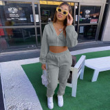Casual Sport Plush Drawstring Hoodies Two Piece Pants Set JZHF-8123