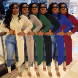 Solid High Collar Sweater Slit Dress NY-082
