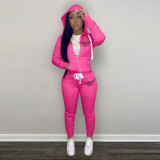 Plush Sweatshirt Sports Casual Two Piece Set FSL-F202