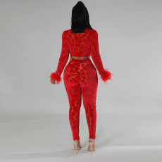Fashion Long Sleeve Short Tops And Pencil Pant 2 Piece Set CYA-900174
