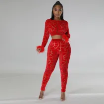 Fashion Long Sleeve Short Tops And Pencil Pant 2 Piece Set CYA-900174