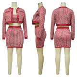Fashion Vest+Long Sleeve Cardigan+Skirts 3 Piece Set YF-10293