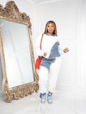 Plus Size Fashion Color Blocking Hooded Sweatshirt Two Piece Pants Set JH-322