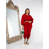 Casual Solid O Neck Short Sweatshirt And Sport Pant Two Piece Set DDF-88189