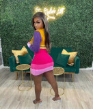 Casual Knits Color Contrast Long Sleeve Two Piece Skirt Set TR-1233