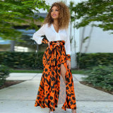 Sexy V-Neck Print Split Maxi Dress FSXF-F371