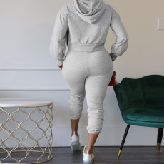Solid Color Hollow Out Hooded Sweatshirt Pant Two Piece Set TE-4496