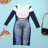 Mesh Patchwork Slim Denim Print Dress FSXF-F372