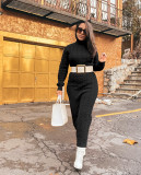 Solid Color High Collar Knits Long Dress(Without Waist Belt) TR-1236