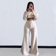 Solid Color Long Sleeve Crop Tops And Loose Pant 2 Piece Set OLYF-6111