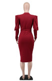 Solid Color Long Sleeve Slim Midi Dress XHXF-335