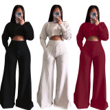 Solid Color Long Sleeve Crop Tops And Loose Pant 2 Piece Set OLYF-6111
