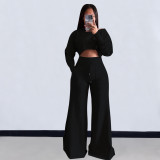 Solid Color Long Sleeve Crop Tops And Loose Pant 2 Piece Set OLYF-6111