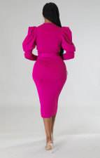 Solid Color Long Sleeve Slim Midi Dress XHXF-335
