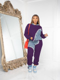 Plus Size Fashion Color Blocking Hooded Sweatshirt Two Piece Pants Set JH-322