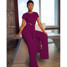Plus Size Short Sleeve Long Pullover And Pant Loose 2 Piece Set QXTF-887