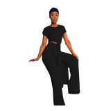Plus Size Short Sleeve Long Pullover And Pant Loose 2 Piece Set QXTF-887