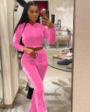 Solid Velvet Hooded Long Sleeve Flare Pants 2 Piece Sets YD-8527