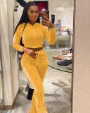 Solid Velvet Hooded Long Sleeve Flare Pants 2 Piece Sets YD-8527