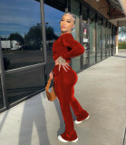 Solid Velvet Hooded Long Sleeve Flare Pants 2 Piece Sets YD-8527