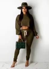 Plus Size Casual Long Sleeve Hooded Tops And Pant Two Piece Set OM-1512
