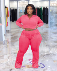 Plus Size Solid Color Velvet Hooded Pants Two Piece Set YD-8675