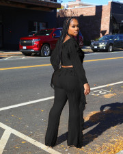 Casual Solid Knits Long Sleeve Tassel Two Piece Set CM-8647
