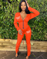 Deep V Neck Hooded Coat And Pleated Pant Two Piece Set HM-6636