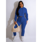 Plus Size Solid Color Hooded Sport 2 Piece Pants Set GCNF-0206