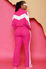 Casual Patchwork Long Sleeve Zipper Sport Loose Two Piece Set XMY-9398