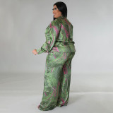Plus Size Fashion Print Casual Long Sleeve Shirts And Pants 2 Piece Set NNWF-7734