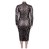 Plus Size Printed Mesh Round Neck Long Sleeve Midi Dress SH-390449