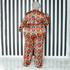 Plus Size Fashion Print Casual Long Sleeve Shirts And Pants 2 Piece Set NNWF-7734